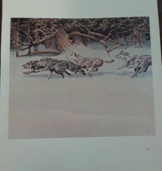 Frances Lee Jaques - Wolf Pack,  1949 - Wildlife Art Print - Offset Lithograph 11.  5x10