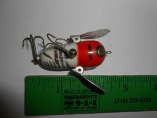 Heddon Tiny Crazy Crawler Red White Fishing Lure
