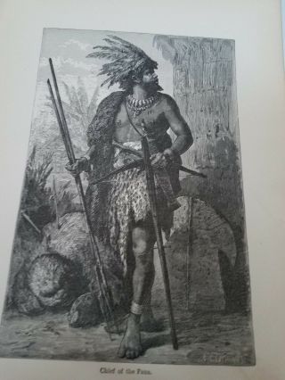 John Kinsley.  1884 - Chief Of The Fans.  Antique Book Print.  Old Paper