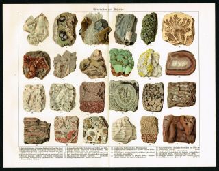 1928 Rocks & Minerals,  Fossils,  Gold,  Geological Antique Print - Meyers