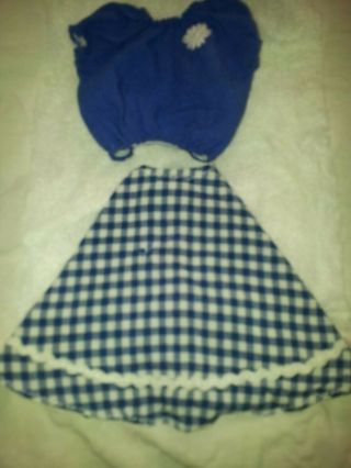 Vintage Tressy Blue And White Gingham Skirt And Top