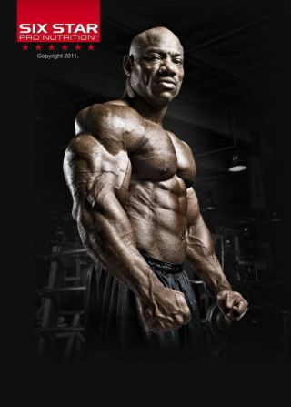 180 Gym - Dexter Jackson Body Building Muscle Exercise Work Out 24 " X33 " Poster