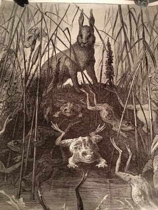 Vintage Poster - The Hare And The Frogs - From The Engraving By Gustave Dore