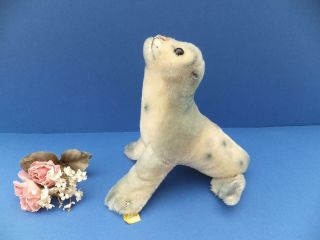 Vintage German Steiff Robby Seal With Silver Ear Button Mohair Toy Sealion