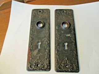 2 Antique Metal Steel Art Deco/nouveau Door Plates