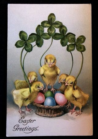 Easter Chicks In Basket With Clovers & Eggs Antique 1906 Postcard - C965