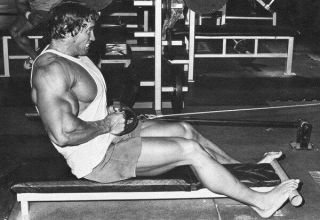 049 Arnold Schwarzenegger - Terminator Great Muscle Player 34 " X24 " Poster