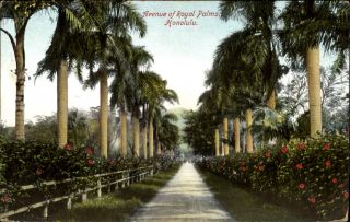 Avenue Of Royal Palms Honolulu Hawaii Rare Early Schofield Barracks Dpo 1910
