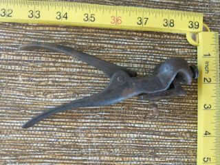 Antique E.  C.  Stearns & Co,  Syracuse,  Ny Saw Tooth Setter Tool Vt2681