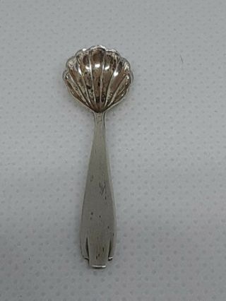 Antique English Sterling Silver Clam Shell Salt Spoon 2 "