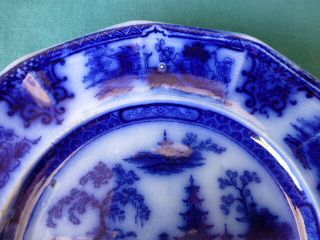 Antique W Adams & Sons Tonquin Pattern Ironstone Flow Blue Plate 2