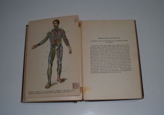 The Human Body By H Newell Martin,  1898 Antique Medical Textbook