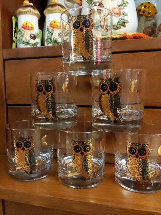 Vtg 6 Unique Couroc Drink Glasses Owl Gold Black Highball Moon Mcm Rare Bar Fun