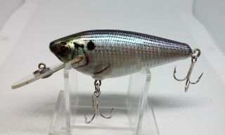 Vintage Bagley Small Fry Shad Shad On White Sh4 3 " Brass Hardware Crankbait Lure