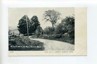 Dudley Ma Mass Antique Postcard,  Turn Of The Road,  Half Hidden Farm House
