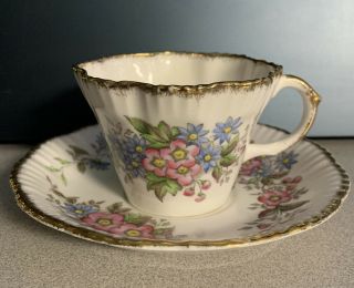 Salisbury Vintage Fine Bone China Tea Cup And Saucer Floral Pattern Gold Trim