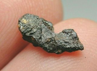 Nwa 11290 Pallasite - Pmg Meteorite - Official - G681 - 0033 - 0.  34g - Very Rare