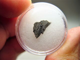 Rare Shocked With Vesicules Nwa 11288 Martian Shergottite Meteorite.  261 Gms