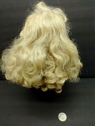 Doll Wig Blonde Curly Ringlets With Bangs Size 8 - 9 Fits 16 " Porcelain Doll