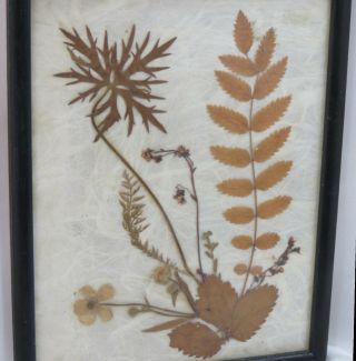 Vintage Hand - Made Real Leaves Wall Hanging - Nature Picture 8 X 10