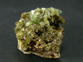 Very Rare Ludlamite Cluster From Bolivia - 1.  3 "