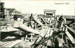 Antique Postcard Shanghai China " Chinese Saw Mill " Workers