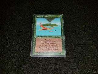 Mtg 1x Revised Green Rare Hp French Fbb Birds Of Paradise - Ships W/ Tracking