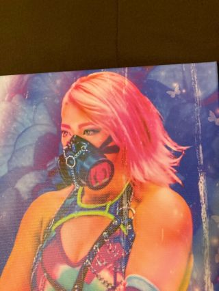 Hana Kimura Stardom Wrestling Canvas Art 12”x20” Rare Artwork 2