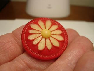 Antique Vintage Celluloid Relief Daisy Flower Design Button