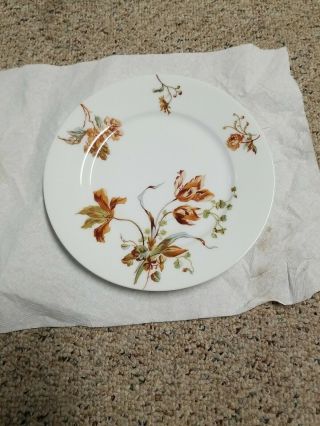 Antique Haviland & Co Limoges 9 " Plate White W/ Brown Flowers Blue Green France