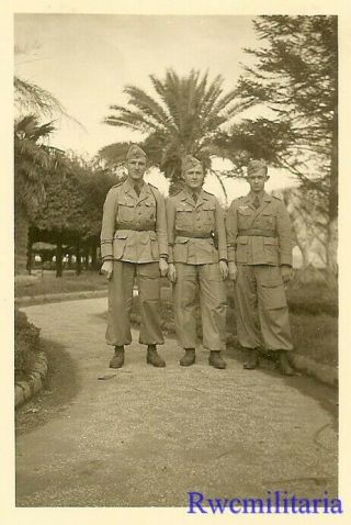 RARE Luftwaffe Soldiers in Tropical Kit w/ HG Division Cuff Titles Worn 2