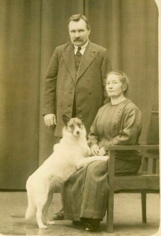 Special Prize Dog Posed W Proud Lady & Gent - Antique Studio Photo