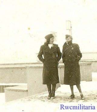 Rare Two Female Luftwaffe Uniformed Blitzmädel Helferin Girls In Winter