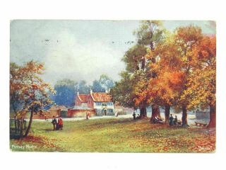 Antique Colour Printed Postcard Tucks Oilette Putney Heath London Commons