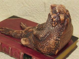 RARE 1950 ' s VINTAGE TOAD BOOKENDS HAND PAINTED ENGLAND TWO TOADS TROT TO TETBURY 3