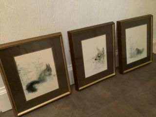 Lovely Set Of Three Wooden Framed Mounted Prints By Mads Stage