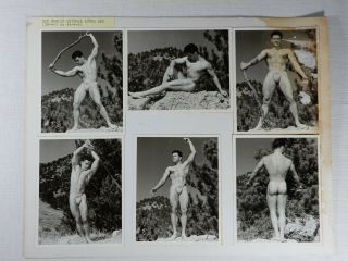 Rare,  Model Show Card Physique,  Male Nude Western Photography Guild Gay Interest