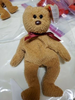 Rare 1996 Curly Beanie Baby Style 4052 W/1993 Tooshtag