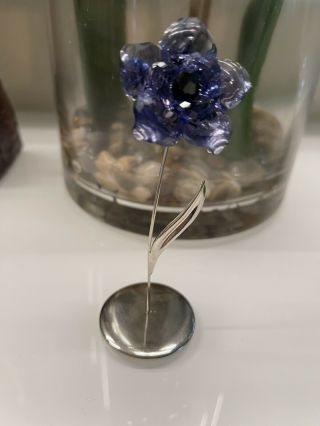 Rare Swarovski Crystal Figurine - Darany Tanzanite Flower - - 4.  5 " H - Mib