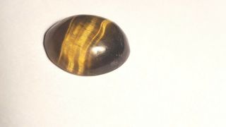 Rare Tiger Eye Polished Rock 1 " X 3/4 "