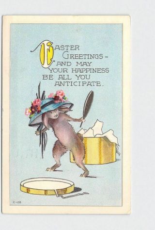 Antique Postcard Easter Anthropomorphic Rabbit Hat Mirror Embossed