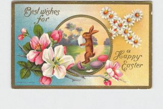 Antique Postcard Easter Rabbit Holding Egg Dogwood Daises