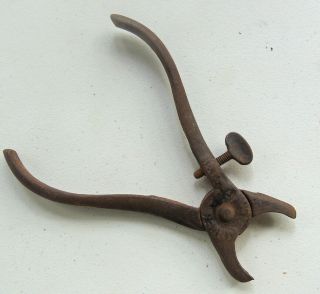 Antique Hills Hog Ring Pliers Pa.  1872 Pig Ear Farm Ranch Nose Tool Upholstery
