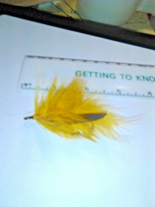 Vintage Lure We Have A Vintage Hair And Feather Fly 2 Inches Long Great Shape.