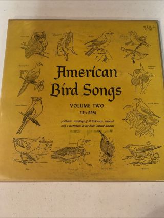 Vintage And Rare Record American Bird Songs Volume Two Vinyl/lp/record