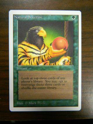 Mtg Magic The Gathering Unlimited Natural Selection (1993)