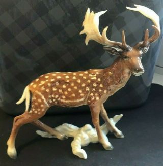 Goebel West Germany Porcelain Signed Fallow Deer 020 - - Rare