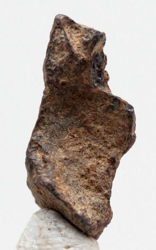Rare Gibeon Iron Meteorite Complete Crystal Complete Individual Specimen