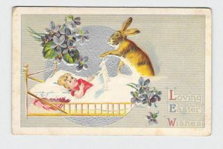 Antique Postcard Easter Anthropomorphic Rabbit Baby In Bed Violets