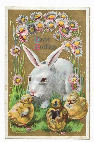 Antique Embossed Postcard Easter Greetings With Bunny,  Daisies & Chicks